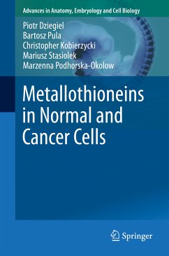 Metallothioneins in Normal and Cancer Cells (eBook, PDF) - Dziegiel, Piotr; Pula, Bartosz; Kobierzycki, Christopher; Stasiolek, Mariusz; Podhorska-Okolow, Marzenna