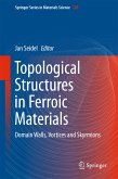 Topological Structures in Ferroic Materials (eBook, PDF)