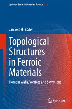 Topological Structures in Ferroic Materials (eBook, PDF)