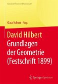 David Hilbert (eBook, PDF)