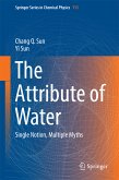 The Attribute of Water (eBook, PDF)