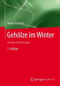 Gehölze im Winter (eBook, PDF) - Eschrich, Walter