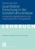 Quantitative Forschung in der Sozialstrukturanalyse (eBook, PDF)