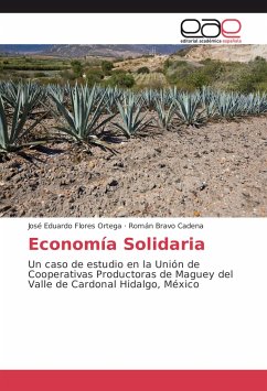 Economía Solidaria von Román Bravo Cadena; José Eduardo Flores Ortega  portofrei bei bü bestellen