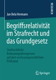 Begriffsrelativität im Strafrecht und das Grundgesetz (eBook, PDF)