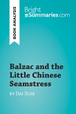 Balzac and the Little Chinese Seamstress by Dai Sijie (Book Analysis) (eBook, ePUB)