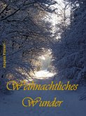 Weihnachtliches Wunder (eBook, ePUB)