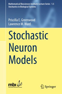 Stochastic Neuron Models (eBook, PDF) - Greenwood, Priscilla E.; Ward, Lawrence M.