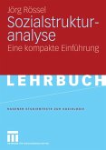 Sozialstrukturanalyse (eBook, PDF)