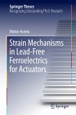 Strain Mechanisms in Lead-Free Ferroelectrics for Actuators (eBook, PDF)
