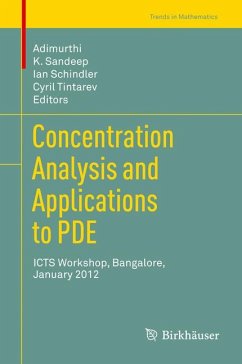 Concentration Analysis and Applications to PDE (eBook, PDF)