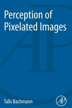 Cover Perception of Pixelated Images