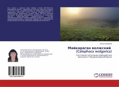 Majkaragan wolzhskij (Calophaca wolgarica) - Solov'eva, Ol'ga