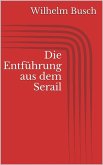 Die Entführung aus dem Serail (eBook, ePUB)