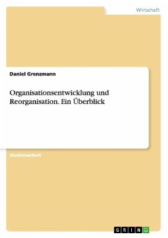 Organisationsentwicklung und Reorganisation. Ein Überblick - Grenzmann, Daniel