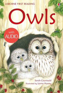 Owls (eBook, ePUB) - Courtauld, Sarah