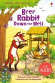 Brer Rabbit Down the Well (eBook, ePUB)