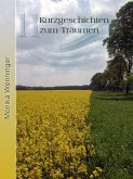 11 Kurzgeschichten zum Träumen (eBook, ePUB) 11 Kurzgeschichten zum Träumen (eBook, ePUB)