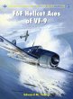 F6F Hellcat Aces of VF-9 (eBook, ePUB) - Bild 1