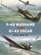P-40 Warhawk vs Ki-43 Oscar (eBook,... - Bild 1