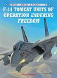 F-14 Tomcat Units of Operation Enduring... - Bild 1