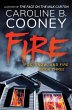 Fire (eBook, ePUB) - Bild 1