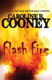 Flash Fire (eBook, ePUB)