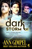 Dark Storm, Soul Storm Books Collection (eBook, ePUB)