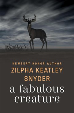Cover A Fabulous Creature (eBook, ePUB)