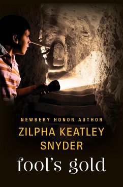 Cover Fool's Gold (eBook, ePUB)