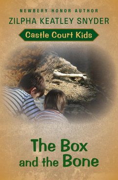 Cover The Box and the Bone (eBook, ePUB)