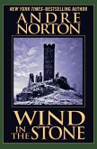 Wind in the Stone (eBook, ePUB)