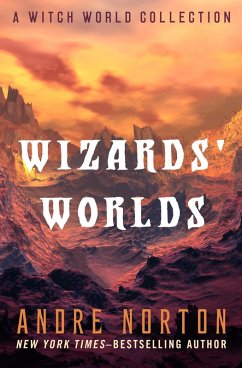 Cover Wizards' Worlds (eBook, ePUB)