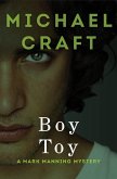 Boy Toy (eBook, ePUB)