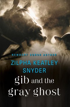 Cover Gib and the Gray Ghost (eBook, ePUB)