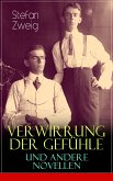 Verwirrung der Gefühle und andere Novellen (eBook, ePUB)