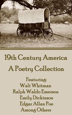 19th Century America (eBook, ePUB) Cover 19th Century America (eBook, ePUB)