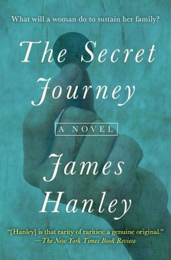 Cover The Secret Journey (eBook, ePUB)