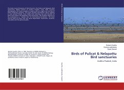Birds of Pulicat & Nelapattu Bird sanctuaries