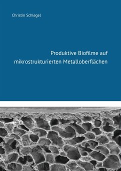 Produktive Biofilme auf mikrostrukturierten Metalloberflächen - Schlegel, Christin