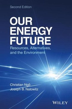 Our Energy Future (eBook, ePUB) - Ngo, Christian; Natowitz, Joseph