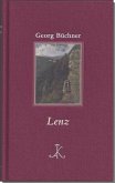 Lenz (eBook, PDF)