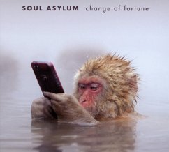 Change Of Fortune - Soul Asylum