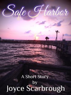 Cover Safe Harbor (eBook, ePUB)