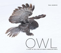 Owl - Bannick, Paul