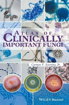 Atlas of Clinically Important Fungi - Sciortino, Carmen V