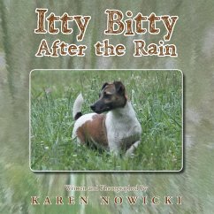 Itty Bitty After the Rain - Nowicki, Karen