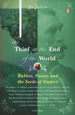 The Thief at the End of the World (eBook, ePUB) - Jackson, Joe