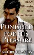 Punished For His Pleasure (eBook, ePUB) - Bild 1