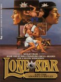 Lone Star 29 (eBook, ePUB)